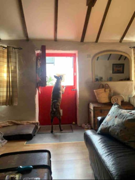 Stone Wall Cottage Castlewellan Esterno foto